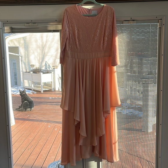 hope morgen Dresses & Skirts - Blush ruffled lace dress